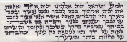 תפילין גסות. נוסח אשכנזי. הסופר: הרב דב פינצבסקי
