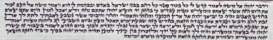 הרב חיזקיהו עמרמי
