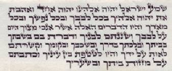 תפילין גסות נוסח אשכנזי הסופר הרב חיים שיפצאר