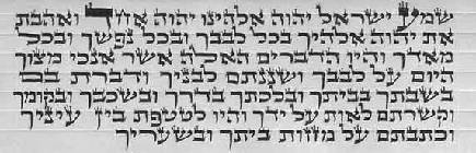 תפילין גסות. נוסח אשכנזי. הסופר: הרב יצחק זילבר